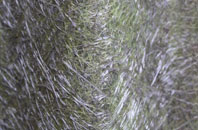 Leathern Bottle fibreglass roof work